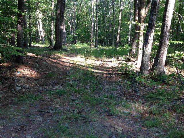 Land for sale in Ossipee, Carroll County