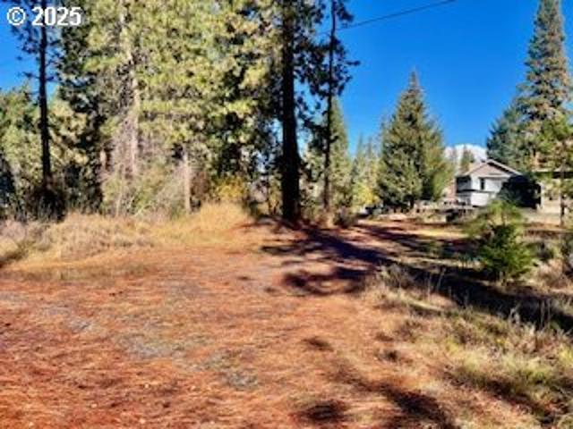Land for sale in Trout Lake, Washington