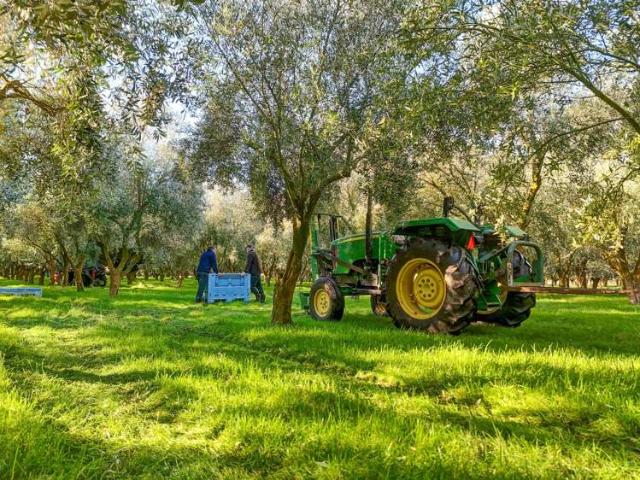 Property for sale in Wanganui District