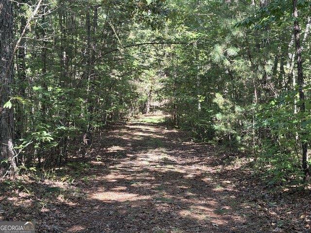 Land for sale in Ellijay, Gilmer County