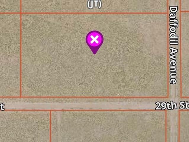 Land for sale in Blanca, Colorado