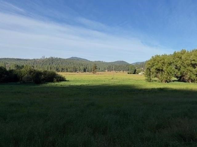 Land for sale in Chewelah, Washington