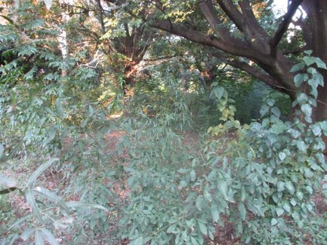 Property for sale in Midvaal, Gauteng