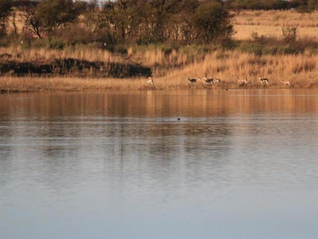 Property for sale in Dr Kenneth Kaunda, North West