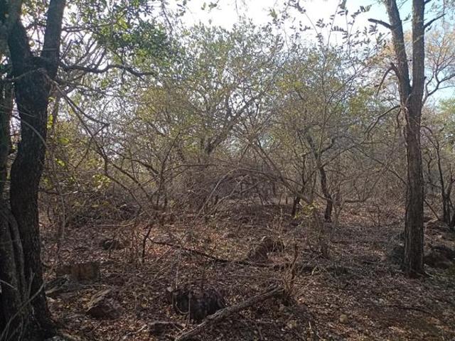 Property for sale in Ehlanzeni, Mpumalanga