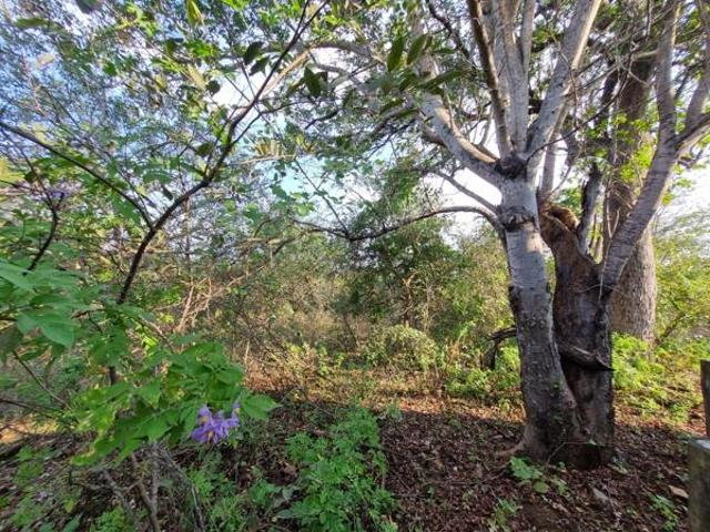 Property for sale in Ehlanzeni, Mpumalanga
