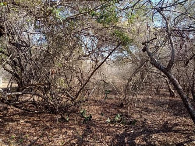 Property for sale in Ehlanzeni, Mpumalanga