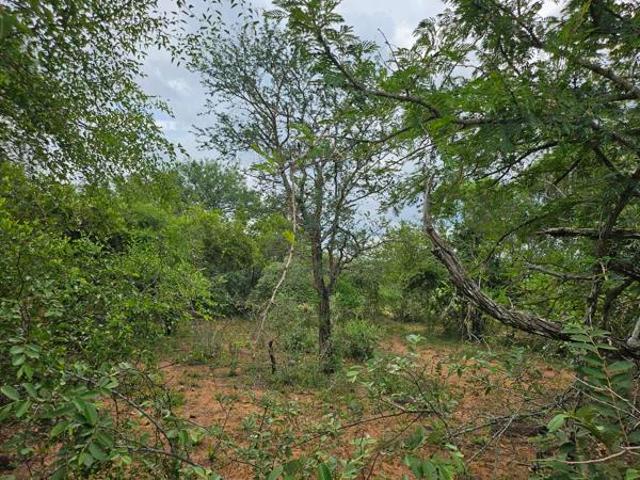 Property for sale in Ehlanzeni, Mpumalanga