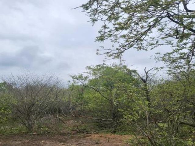 Property for sale in Ehlanzeni, Mpumalanga