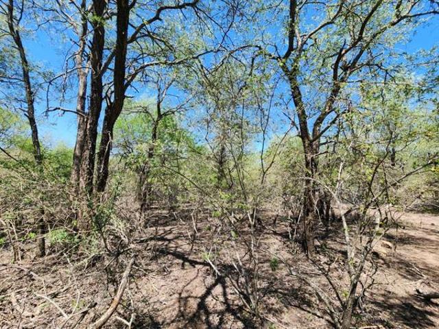 Property for sale in Ehlanzeni, Mpumalanga