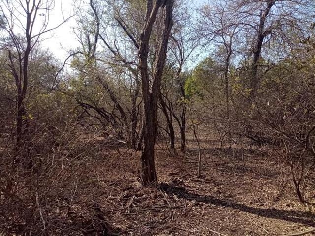 Property for sale in Ehlanzeni, Mpumalanga