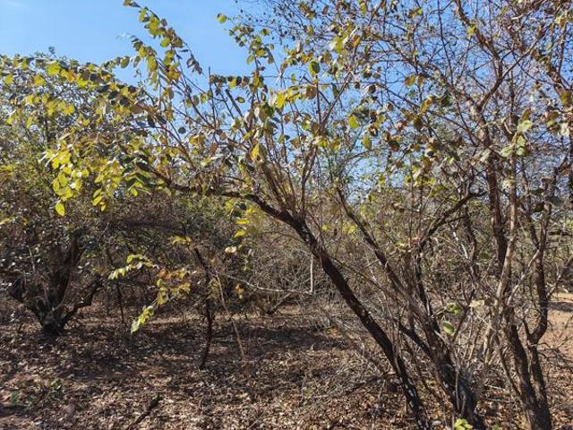 Property for sale in Ehlanzeni, Mpumalanga