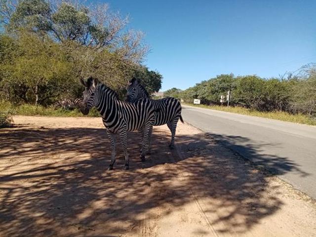 Property for sale in Ehlanzeni, Mpumalanga