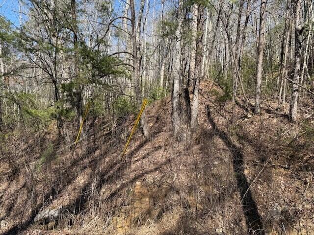 Land for sale in Tennessee