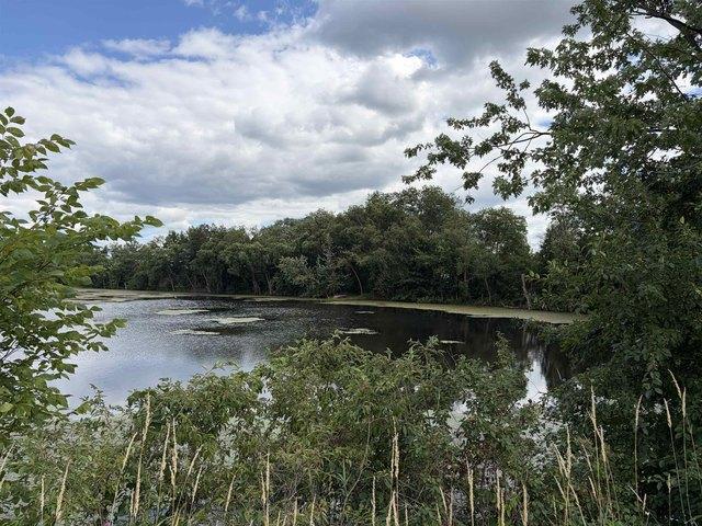 Land for sale in Juneau, Wisconsin