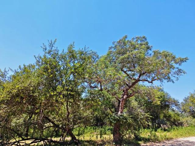 Property for sale in Ehlanzeni, Mpumalanga