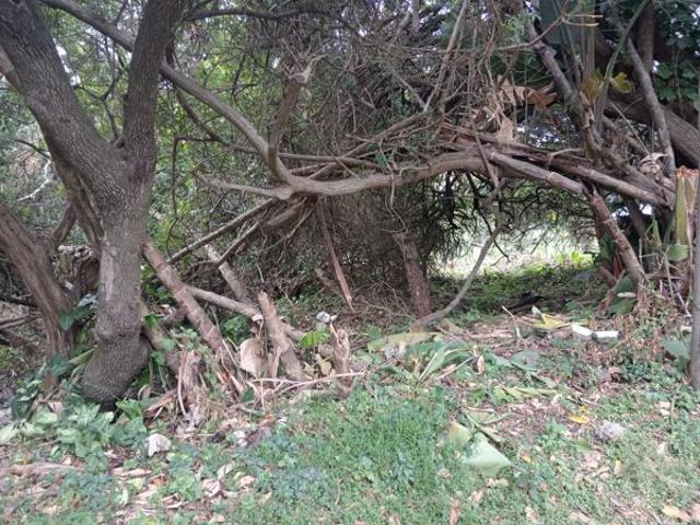Property for sale in Ugu District Municipality, Kwazulu-natal