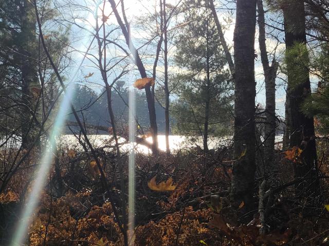 Land for sale in Juneau, Wisconsin