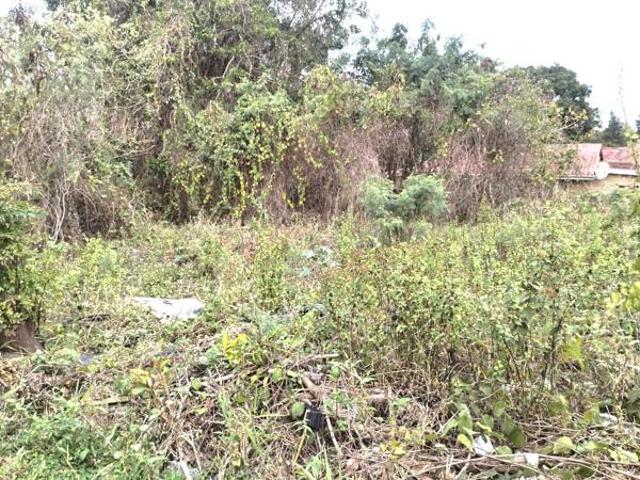 Property for sale