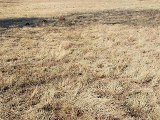 Property for sale in Midvaal, Gauteng