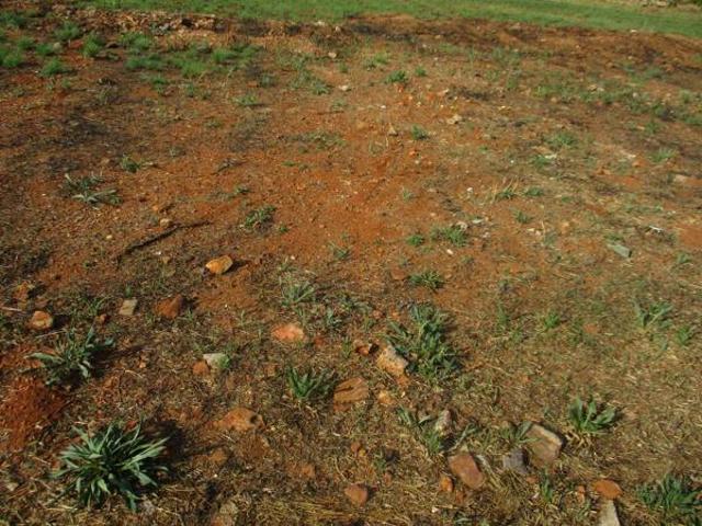 Property for sale in Midvaal, Gauteng