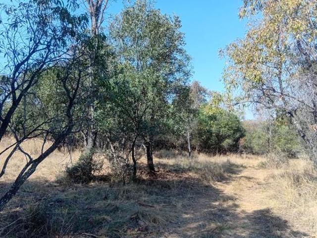 Property for sale in Limpopo