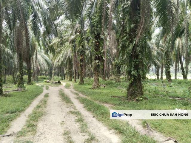 Shop for sale in Perak, Gopeng