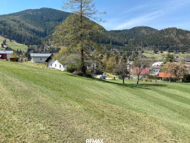 Grundstück kaufen in Neuberg an der Mürz, Steiermark