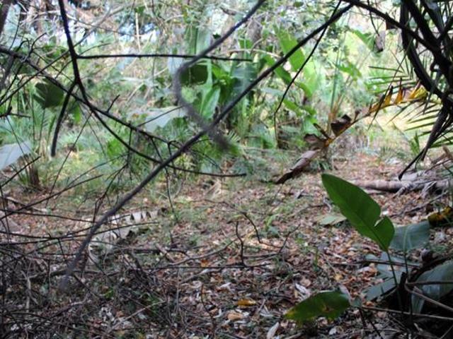 Property for sale in Ugu District Municipality, Kwazulu-natal