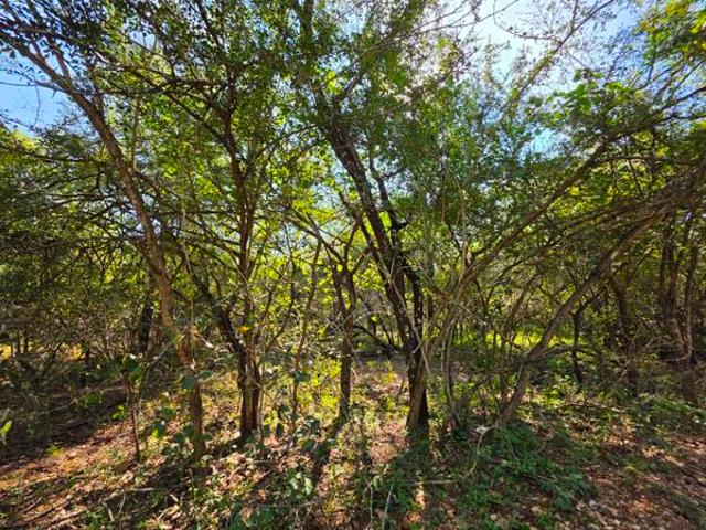 Property for sale in Ehlanzeni, Mpumalanga