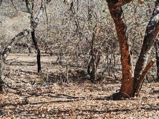 Property for sale in Ehlanzeni, Mpumalanga