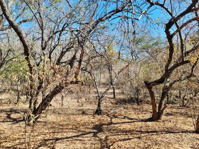 Property for sale in Ehlanzeni, Mpumalanga