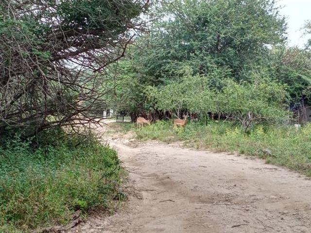 Property for sale in Ehlanzeni, Mpumalanga