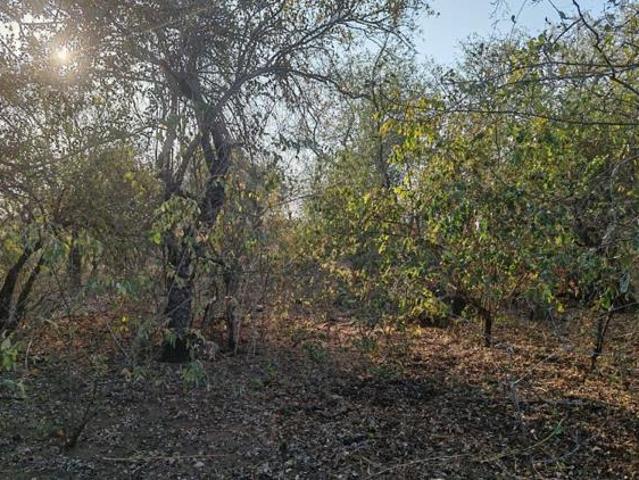 Property for sale in Ehlanzeni, Mpumalanga