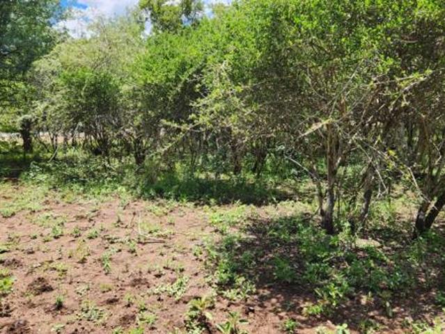 Property for sale in Ehlanzeni, Mpumalanga