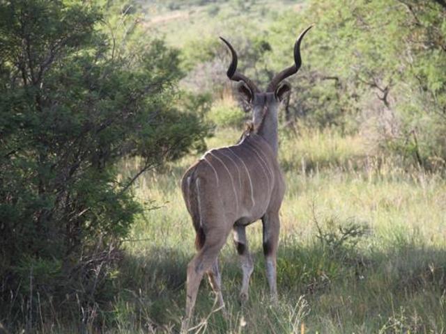 Property for sale in Dr Kenneth Kaunda, North West