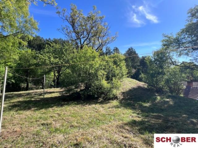 Grundstück kaufen in Enzesfeld-Lindabrunn, Niederösterreich