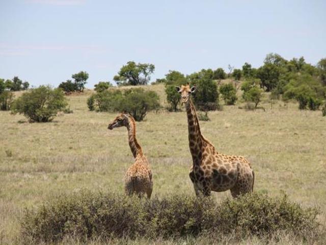 Property for sale in Dr Kenneth Kaunda, North West