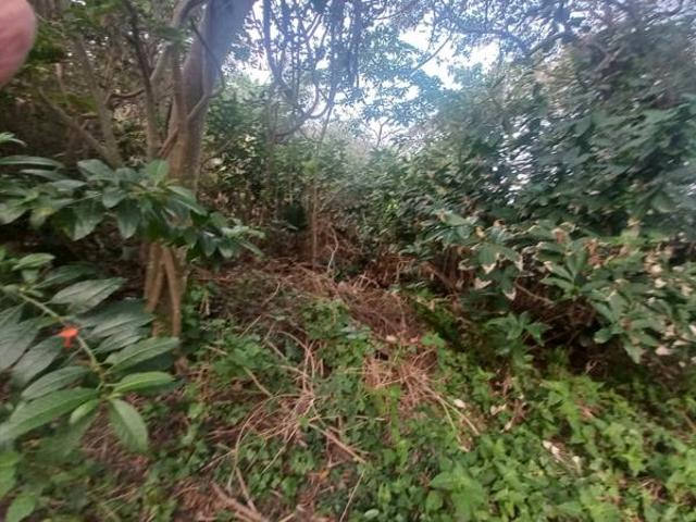 Property for sale in Ugu District Municipality, Kwazulu-natal