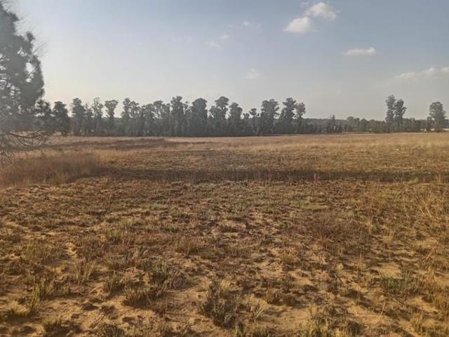 Property for sale in Oranjeville, Free State