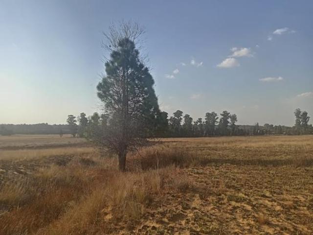 Property for sale in Oranjeville, Free State