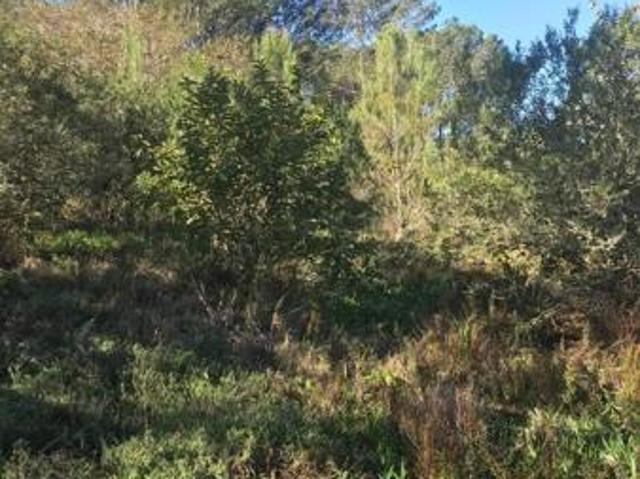 Property for sale in Bushmans River Mouth, Eastern Cape