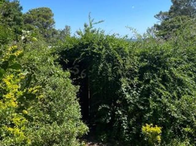 Property for sale in Bushmans River Mouth, Eastern Cape