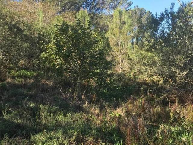 Property for sale in Bushmans River Mouth, Eastern Cape