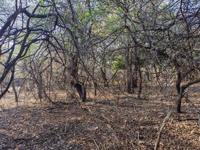 Property for sale in Ehlanzeni, Mpumalanga