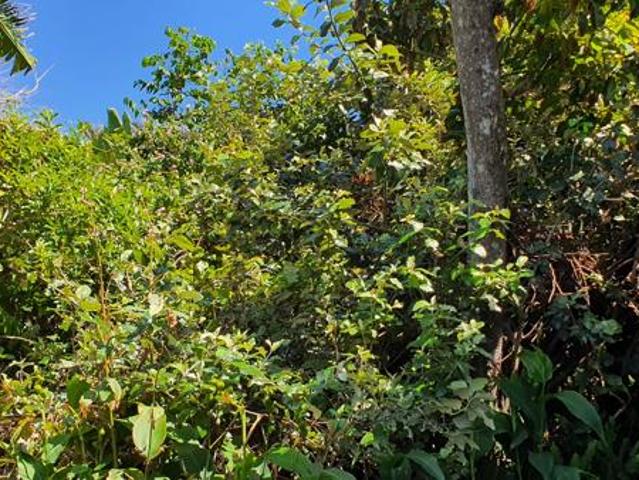 Property for sale in Southbroom, Hibiscus Coast Local Municipality