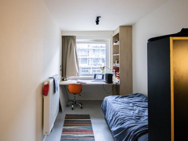 Kot location à Desteldonk, Oost-Vlaanderen