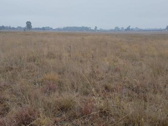 Property for sale in Oranjeville, Free State