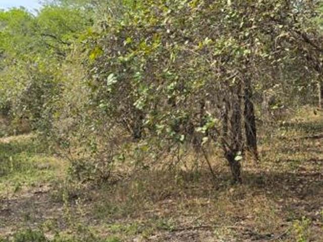 Property for sale in Ehlanzeni, Mpumalanga