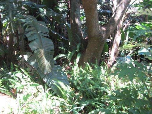 Property for sale in Ugu District Municipality, Kwazulu-natal